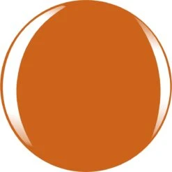 L’Oréal Paris Color Riche Le Vernis - 303 Lush Tangerine - Oranje - Nagellak -Nagelverzorging Winkel 1200x1197 4