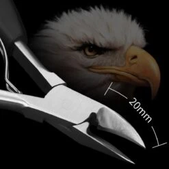 WVspecials® Professionele Zwarte Nagelschaar - Kalknagel Schaar - Ingegroeide Teennagel - Nageltang Groot -Nagelschaar Voor Harde Nagels - Teennagel - Nageltang - Nagelschaartje - Nagelschaar - Kalknagels - Schaar - Hand Verzorging - Nagelknipper -Nagelverzorging Winkel 1200x1198 20