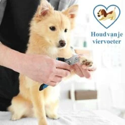 Merkloos Nagelknippper Hond Nagelknipper Kat + E-BOOK - Nagelschaar Hond - Nagelschaar Kat - Honden Nagelknipper - Nagelvijl Hond - Nageltang Hond - Nagelknipper Hond Veiligheidsstop - Nagel Hond - Bwa Commerce -Nagelverzorging Winkel 1200x1200 766