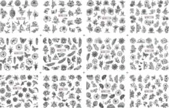 Nagel Stickervel Zwart Met 9 Designs Water Transfer Stickers | Nail Art | Nagelstickers | Sparkolia