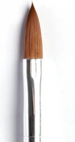 Merkloos Acryl Penselen (5 Kleuren) -Nagelverzorging Winkel 634x1200 3